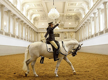 Lady on Horse, cool HD wallpaper