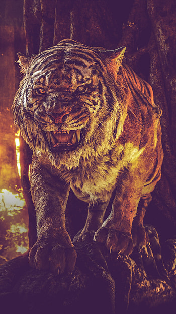 Tiger, sky, bengal_tiger HD phone wallpaper