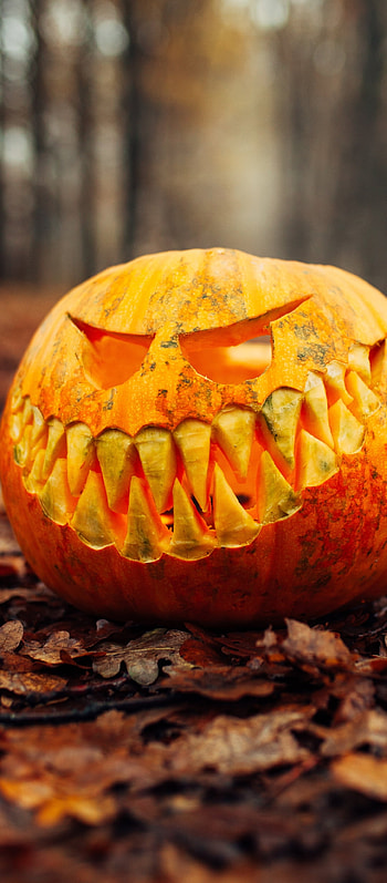 jack-o'-lantern, pumpkin, holiday, halloween HD phone wallpaper