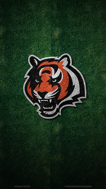 Cincinnati Bengals, Sports HD phone wallpaper