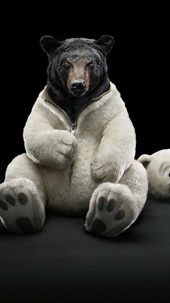 Unusual bear , Unique design, 11 Pro Max, Distinctive style HD phone wallpaper