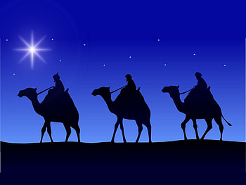 Wisemen, blue, camel, holiday, christmas HD wallpaper