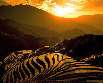 High Fields, fields, beautiful, high HD wallpaper