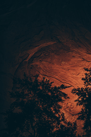 Nature, Trees, Rock, Stone, Cave HD phone wallpaper