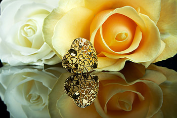 Reflection, Miscellanea, Miscellaneous, Rose Flower, Rose, Heart HD wallpaper