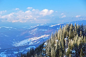 Winter Forest, winter, hills, pine trees, cold, snow, clouds, trees, sky, mountains, forest HD wallpaper