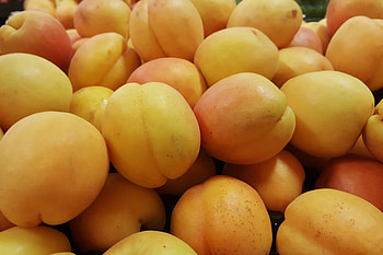 Fruits, Food, Ripe, Apricot HD wallpaper