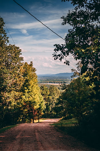Serene dirt road in a lush forest leading to a distant mountain view under a bright blue sky. HD phone wallpaper