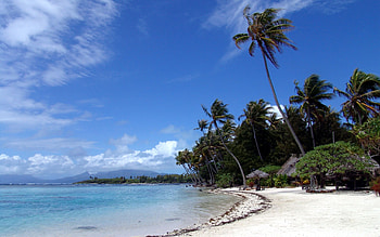 Landscape, Sky, Sea, Beach, Palms HD wallpaper