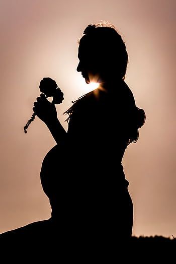 Pregnant woman holding a flower in silhouette against the sunset. HD phone wallpaper