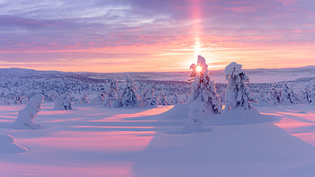 Frozen Trees Winter Field Sunlight Under Clouds Blue Sky Nature HD wallpaper