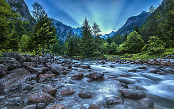 Val di Mello, , Valtellina, Italy, pines, stream HD wallpaper
