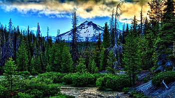 Forest in the mountains, creek, landscape, clouds, trees, sky, water, mountain HD wallpaper