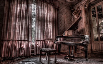 Musical ambiance, Soulful melodies, Captivating instrument, Harmonious compositions HD wallpaper