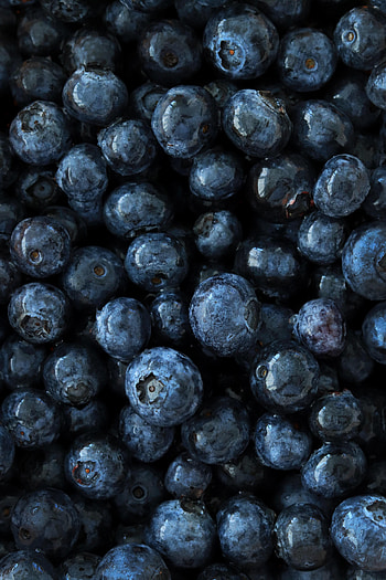 Food, Bilberries, Macro, Berry, Fruit, Close, Near HD phone wallpaper
