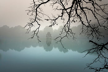 Serene morning view of a misty lake with tree branches and tranquil reflections. HD wallpaper