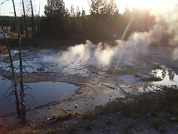 Geyser at Norris, geyser, yellowstone national park, yellowstone, norris, hot spring, sunset HD wallpaper