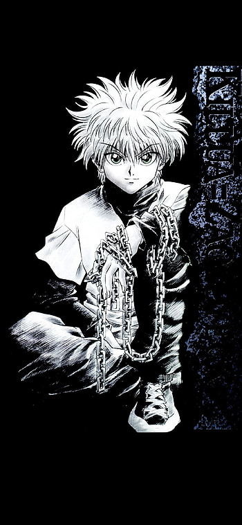 Hunter x Hunter anime, High-quality HD phone wallpaper