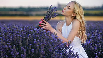 Beautiful Girl Model Is Sitting In Lavender Flowers Field Wearing White Dress Girls HD wallpaper