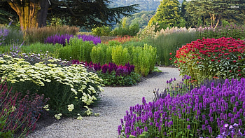 Garden , High definition HD wallpaper