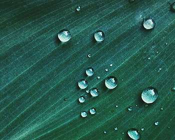 Water Drop On Green Textile Macro, water, drop, green, nature HD wallpaper