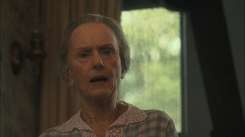 Driving Miss Daisy, 1989 backdrops, Movie database, Tmdb HD wallpaper