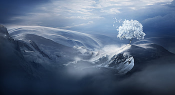 Birds Flying Over Snow Tree On Mountain Peak, birds, mountains, snow, deviantart HD wallpaper
