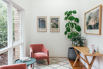 Bright and cozy minimal living space with modern decor and indoor plants. HD wallpaper