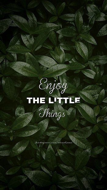 Quotes, monochrome graphy, organism HD phone wallpaper
