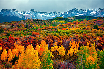 Fall is Here !, National forest, Colorado, Trees, Mountain HD wallpaper