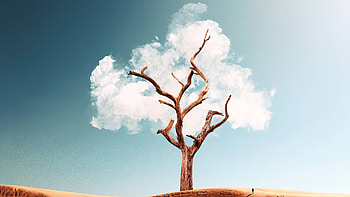 The Cloud Tree , tree, clouds, artist, artwork, digital-art, manipulation HD wallpaper