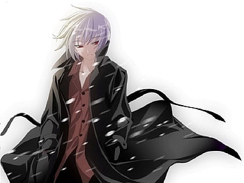 A snowy day, white, black, red-eyed, snow HD wallpaper