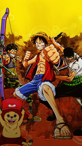 .wiki--One-Piece---- HD phone wallpaper