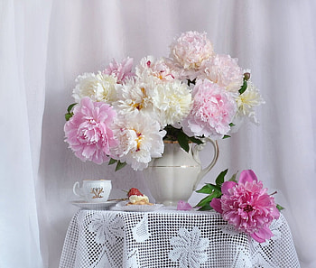 ❀ ❀, Flowers, Still life, Peonies, Pink HD wallpaper