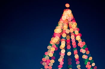 Colorful bokeh lights forming a Christmas tree against a dark blue sky. HD wallpaper