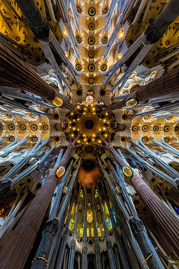 Sagrada Familia, Architecture, Interior, Barcelona, Miscellanea, Miscellaneous, Modern, Column, Ceiling, Columns HD phone wallpaper