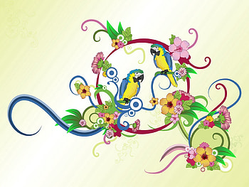 Flowers, Parrots, Patterns, Vector, Multicolored, Motley HD wallpaper