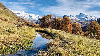 Landscape, Nature, Trees, Grass, Mountains, Puddle HD wallpaper