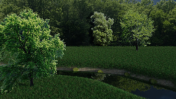 A Forest Stream, cg, 3d, forest, sfrederick2, stream HD wallpaper