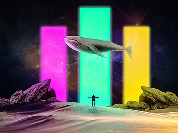 Art, Desert, Human, Person, Illusion, Whale HD wallpaper