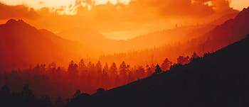 Red Dead Redemption 2 Sunset Time , red-dead-redemption-2, games, 2021-games HD wallpaper