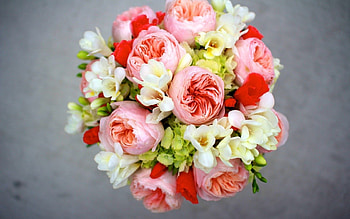 Flowers, Peonies, Bouquet, Composition, Hydrangea, sia, sias HD wallpaper