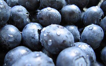 Violet, Drops, Macro, Dark, Moisture, Berry, Purple HD wallpaper