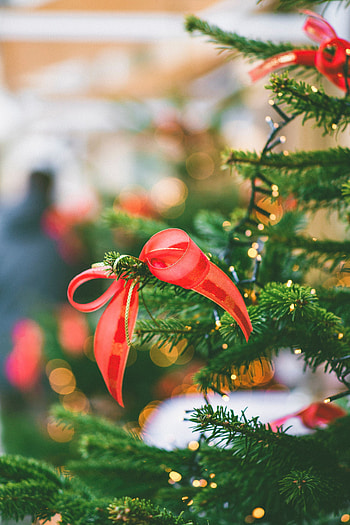 Holidays, New Year, Decorations, Christmas, Bow, Christmas Tree, Garland, Garlands HD phone wallpaper