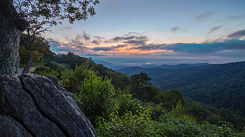 Shenandoah National Park, Nature's paradise, Virginia's pride, Majestic beauty HD wallpaper