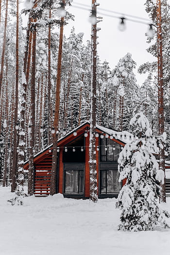 Cozy red cabin surrounded by snowy trees in a serene Belarusian winter forest. HD phone wallpaper
