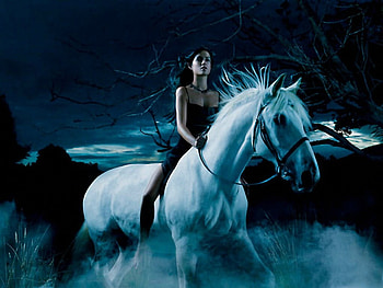Midnight Ride, night, fog, horse, cowgirl, clouds, trees, sky, evening HD wallpaper