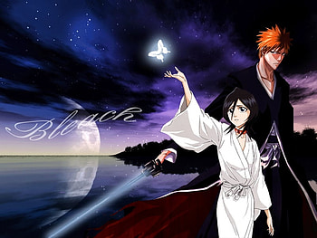 Rukia I will always protect you, bleach, ichigo, anime, rukia HD wallpaper