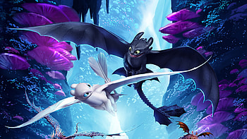 How To Train Your Dragon The Hidden World Night Fury And Light Fury, how-to-train-your-dragon-the-hidden-world, how-to-train-your-dragon-3, how-to-train-your-dragon, movies, 2019-movies, animated-movies, artwork, night-fury HD wallpaper