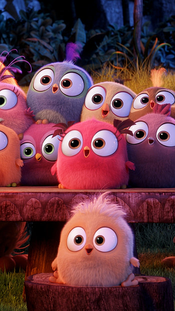 Angry Birds, Mini Birds HD phone wallpaper